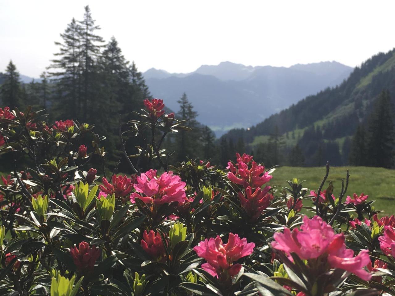 Appartamento Auszeit Obermaiselstein Esterno foto